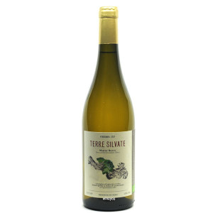 Marche bianco Terre Silvate 2024 - La Distesa