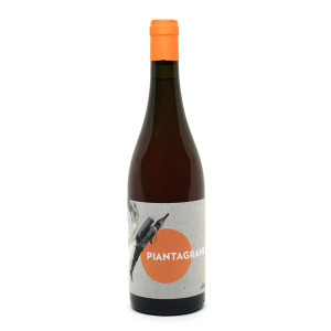 Pinot Grigio Piantagrane 2023 - Villa Job