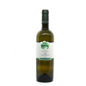 Di Gino Bianco 2024 - Fattoria San Lorenzo