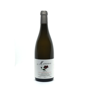 Vigneto Mariarosa 2023 - Ca' dei Zago