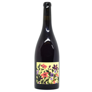 Olivia 2023 - Bergianti - Terrevive