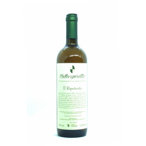 Ripetente 2021 - Collecapretta