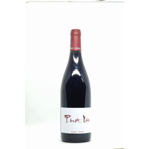 Vin de France Rouge Pinot Noir 2021 - Sarnin-Berrux