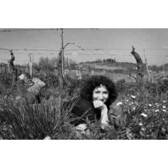 Fattoria di Bacchereto Terre a Mano