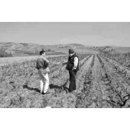 Domaine Joseph Chamonard