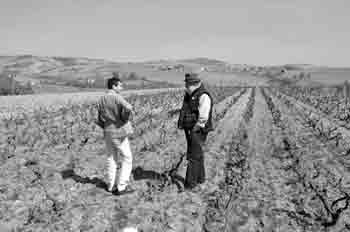 Domaine Joseph Chamonard